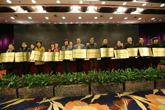 調整大小 國家中醫藥管理局對全國基層中醫藥工作先進單位代表授牌.JPG